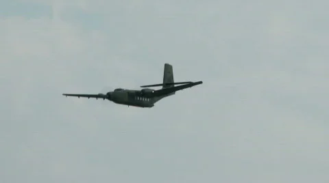 Caribou in flight Stock Footage