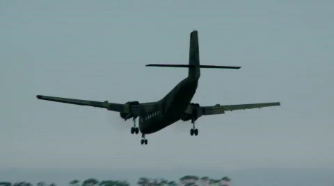 Caribou in flight 库存影片 495729