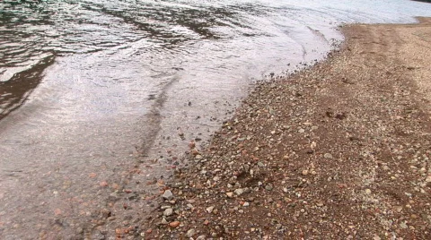 Caribou tracks 2 Stock Footage 625395