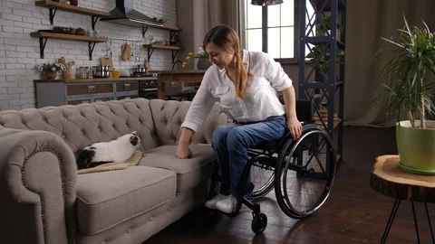 Caring disabled female stroking cat lying on sofa Stock Footage 128323394