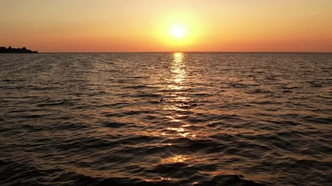 Caring duck Stockbeeldmateriaal 157383546