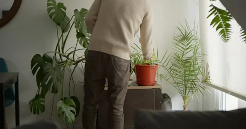 Caring for Greenery: Vídeo Stock 331536987