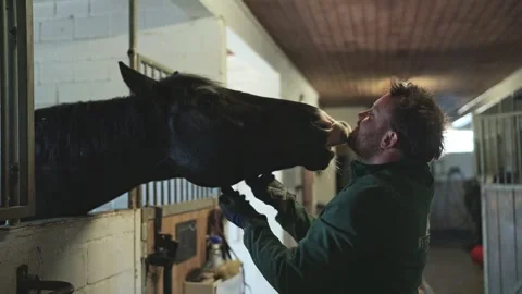 Caring man showing affection and love to his beautiful horse inside a stable, 스톡 동영상 331564538
