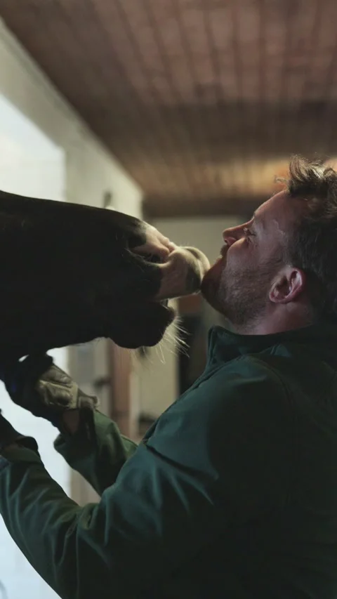 Caring man showing affection and love to his beautiful horse inside a stable, 스톡 동영상 333697559
