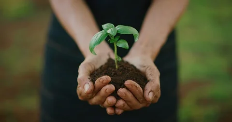Caring for Mother Earth Stock Footage 107038680