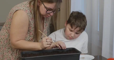 A caring mother teaches her son to sow seeds in a container with fertile soil Stock Footage 333760099