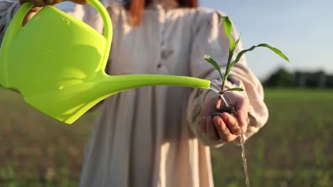 Caring for nature and future Stock-Footage 337941729