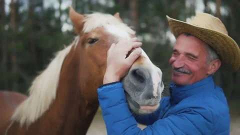 Caring old farmer is stroking, kissing and huging his horse. Slow-motion Stock Footage 75263898