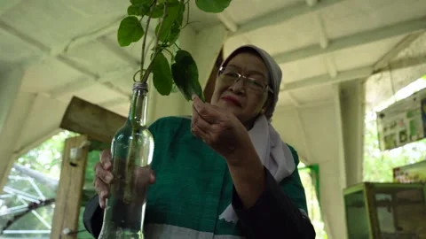 Caring for plants. Stock Footage 287314320