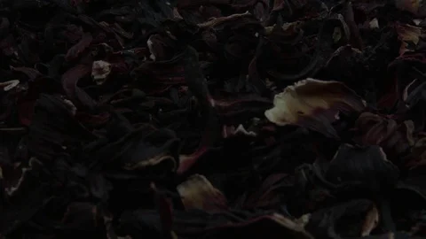 Carkade fall on the white plate 스톡 동영상 78906129