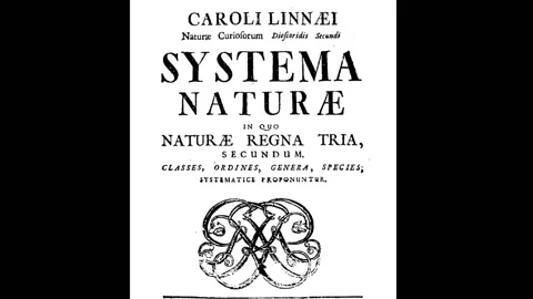 Carl Linnaeus, Botanist 動画素材 159432875
