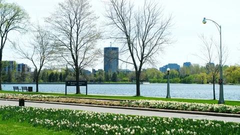 Carleton University in the distance Stock Footage 91038500