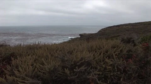 Carmel Beach Stock Footage 8777141