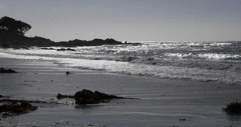 Carmel Beach Waves 4k Backlit Stock Footage 97965929