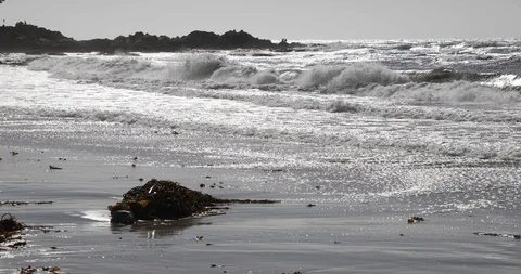 Carmel Beach Waves 4k Backlit Stock Footage 97966230