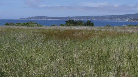 Carmel Stock Footage 50115752