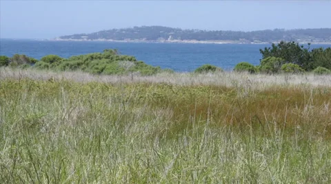 Carmel Stock Footage 50115938