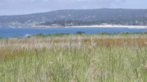 Carmel Stock Footage 50116481