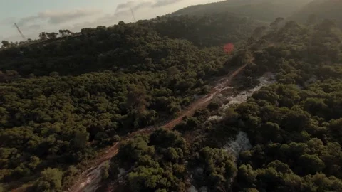 Carmel Forest Dirt Road Sunset Aerial Video stock 200775919