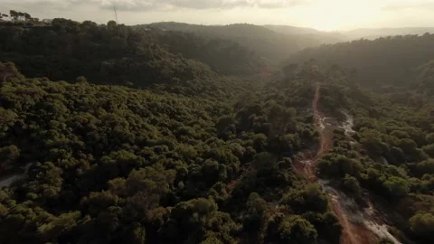 Carmel Forest Dirt Road Sunset Aerial Video stock 200776038