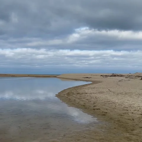 Carmel River Lagoon Stock-Footage 240970774