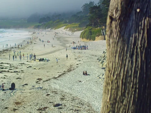 Carmel-by-the-Sea beach Stock Footage 77261849