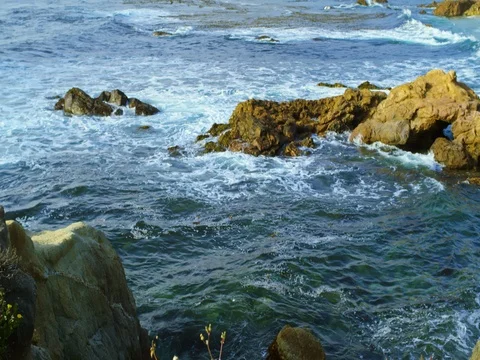 Carmel-by-the-Sea beach Stock Footage 77263709