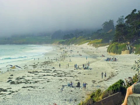 Carmel-by-the-Sea beach Stock Footage 77275186