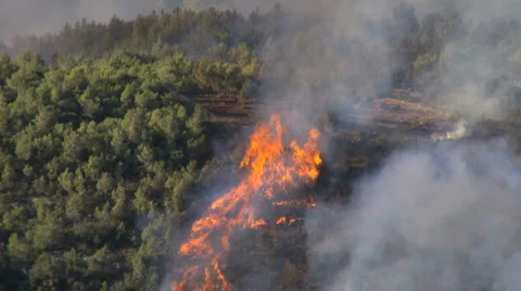 CarmelFire Stock Footage 974457