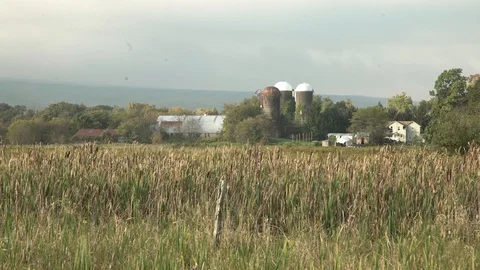 Carn field/farm Stock-Footage 96401990