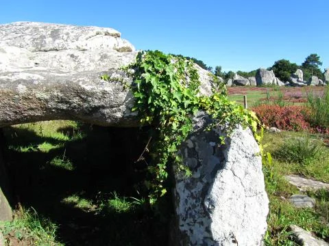 Carnac accient site 스톡 사진