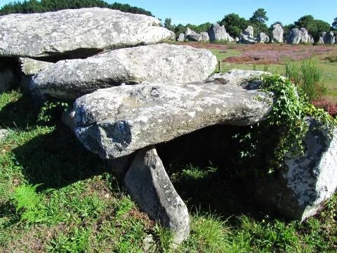 Carnac accient site 스톡 사진