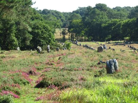 Carnac accient site 스톡 사진