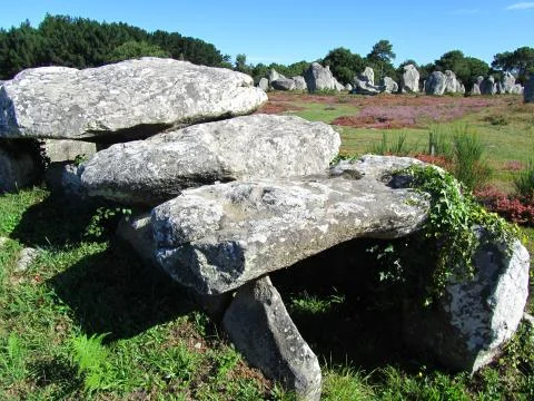 Carnac accient site 스톡 사진