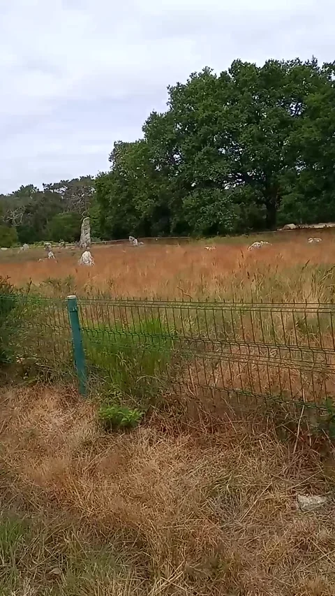 Carnac Alignments site Stock Footage 313795135