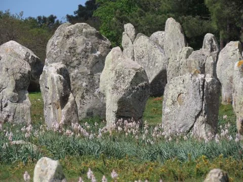 Carnac megalith alignments Foto stock