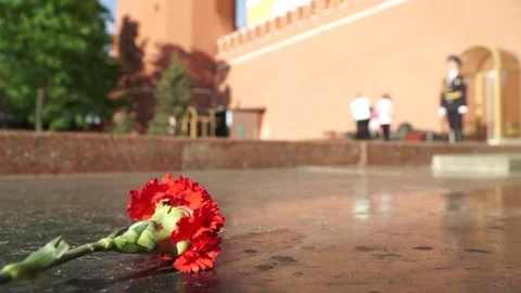 Carnation against the backdrop of the guard of honor Stock Footage 76100534