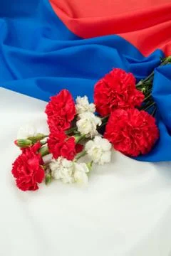 Carnation And Flag Stock Photos