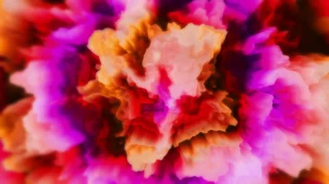 Carnation - Blossom-like Video Background Loop 스톡 동영상 12336906