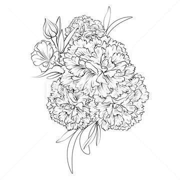 Flower bouquet Drawing Rose, flower, white, wedding, monochrome png |  PNGWing