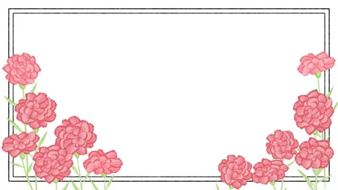 Carnation flower animation Stock Footage 311904080