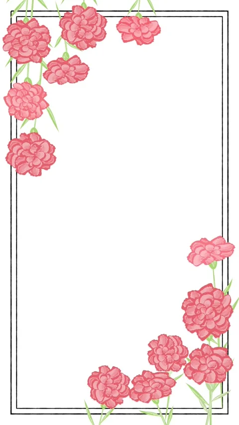 Carnation flower animation Stock Footage 311904101