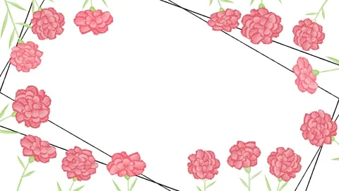 Carnation flower animation Stock Footage 311904102