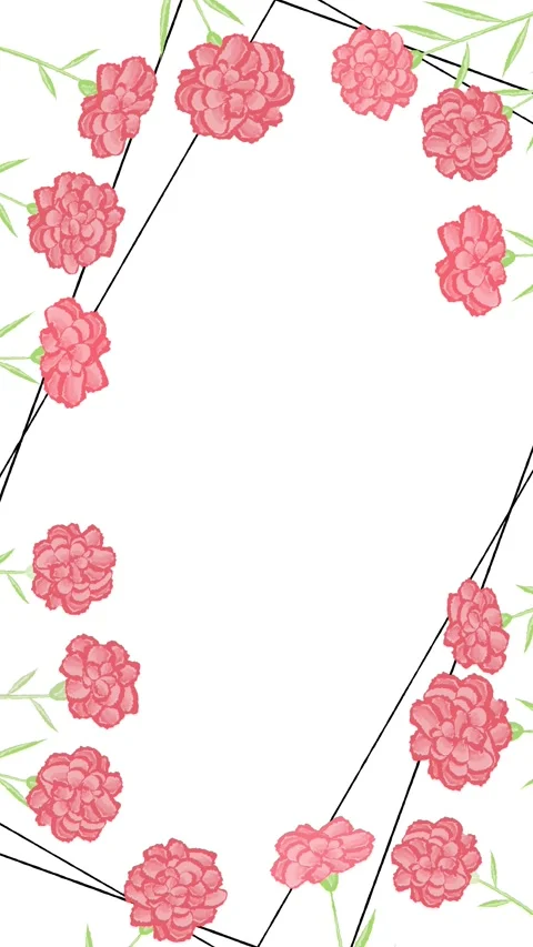 Carnation flower animation Stock Footage 311904119