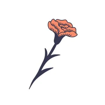 Carnation flower doodle icon, vector color illustration Illustrazione stock