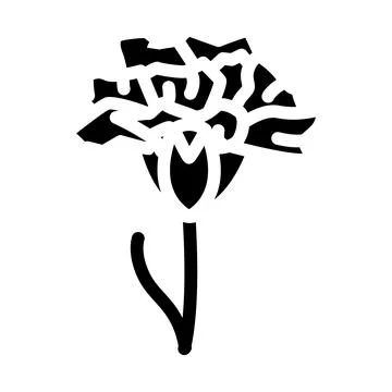 Carnation flower glyph icon vector illustration Stock Illustration