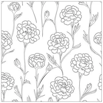 Carnation Flower illustration pattern outline sketch Illustrazione stock
