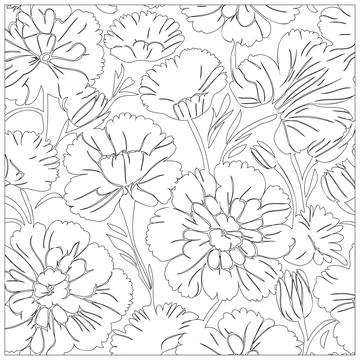 Carnation Flower illustration pattern outline sketch Stock Illustration
