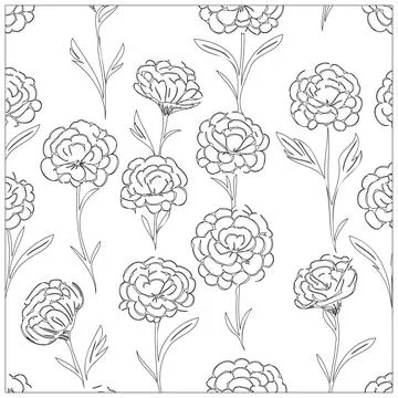 Carnation Flower illustration pattern outline sketch Stock Illustration