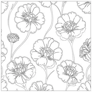 Carnation Flower illustration pattern outline sketch Stock Illustration